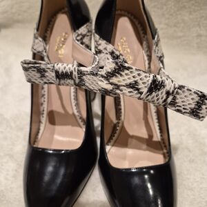 Gucci Black and Snake Print Women's Shoes